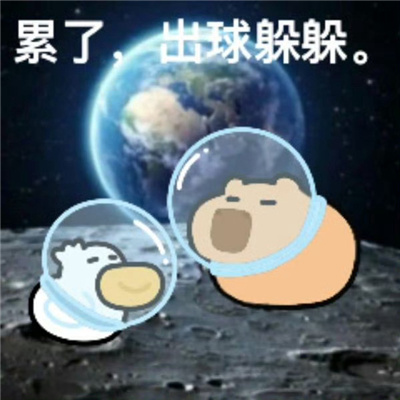 小水豚表情令人爆笑 天气好极了钱几乎没有