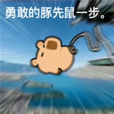 小水豚表情令人爆笑 天气好极了钱几乎没有