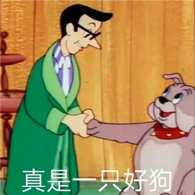 每一款都是经典且好笑的表情 真是一只好狗