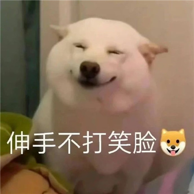 沙雕表情每款都很奇葩 你看我像很有钱的样子吗