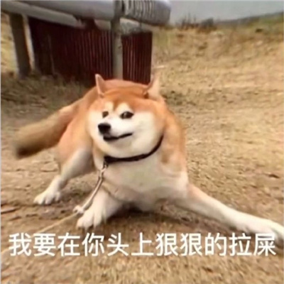 每张都值得存图的表情大全 强烈推荐的好笑好用表情