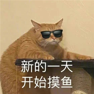 每张都值得存图的表情大全 强烈推荐的好笑好用表情