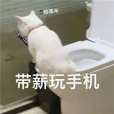 今日份无水印微信沙雕表情 生活生活生下来就是干活