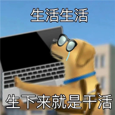 今日份无水印微信沙雕表情 生活生活生下来就是干活