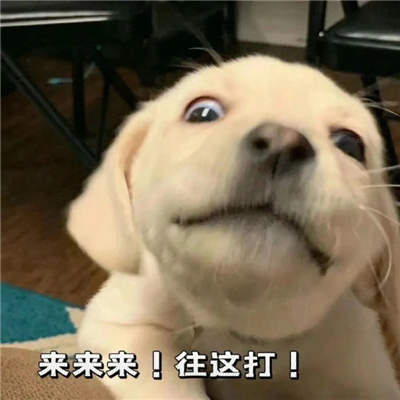 吵架超好用的怼人表情 我去铲翻那个傻逼