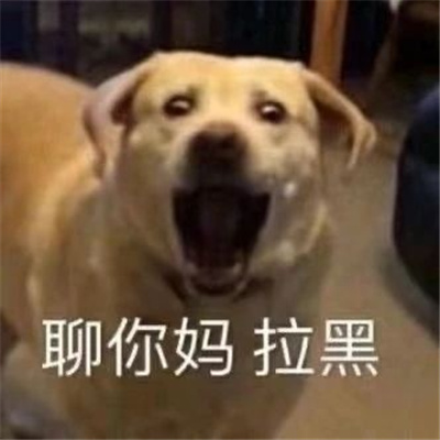 吵架超好用的怼人表情 我去铲翻那个傻逼