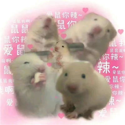 极度有趣每款都爆开心的表情 做人你别太过做事你别犯错