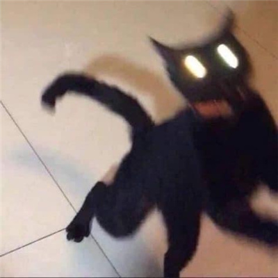 小黑猫无字凶狠表情合集 发脾气暴躁黑猫表情合集