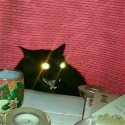小黑猫无字凶狠表情合集 发脾气暴躁黑猫表情合集