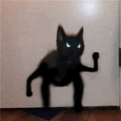 小黑猫无字凶狠表情合集 发脾气暴躁黑猫表情合集