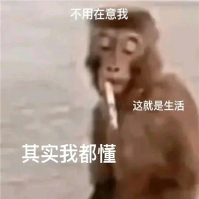 职场打工人微信阴阳怪气表情 打工人必备的表情新版