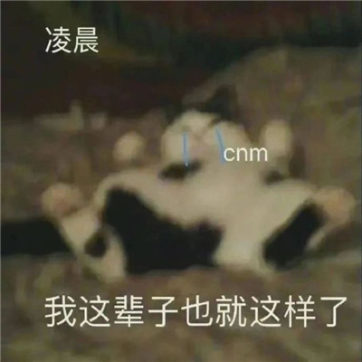 很嗨皮又很快乐的沙雕表情 周五周五敲锣打鼓