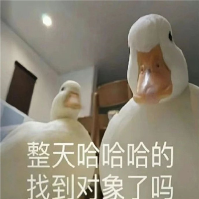 很嗨皮又很快乐的沙雕表情 周五周五敲锣打鼓