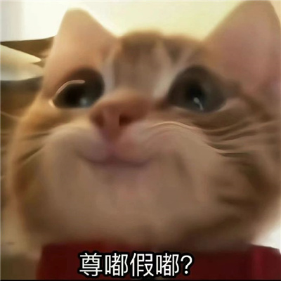 很嗨皮又很快乐的沙雕表情 周五周五敲锣打鼓