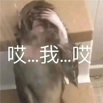 杂七杂八很有梗的表情 万能超好用的表情