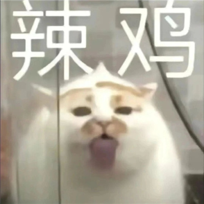 杂七杂八很有梗的表情 万能超好用的表情