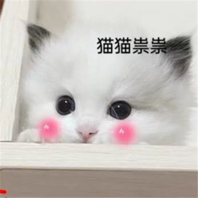 别太荒谬表情包 发疯好用表情合集