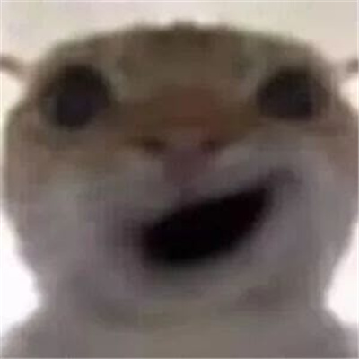 别太荒谬表情包 发疯好用表情合集