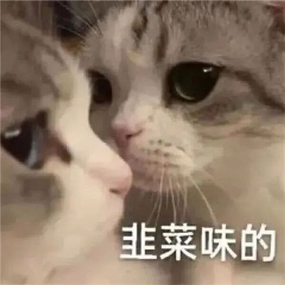 别太荒谬表情包 发疯好用表情合集