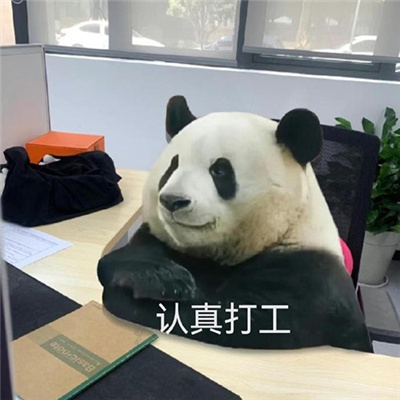 快乐聊天表情每张都爆开心 趣味款表情一定要收藏哦