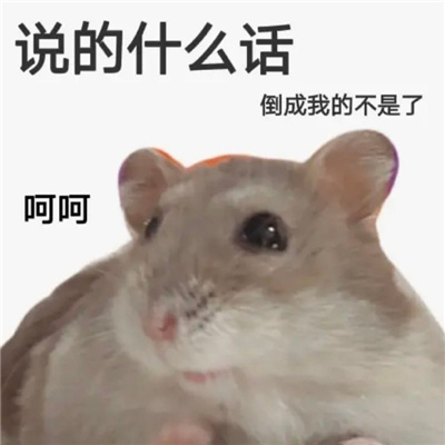 每张都值得保存的表情 我不生气美女不该生气