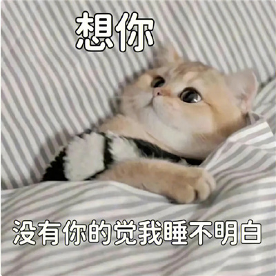 每张都值得保存的表情 我不生气美女不该生气