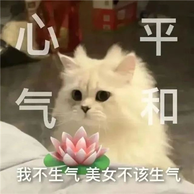 每张都值得保存的表情 我不生气美女不该生气