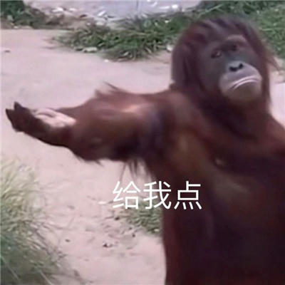 开心到飞起万能表情热门款 已你记录你的恶行