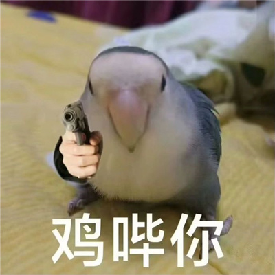 开心到飞起万能表情热门款 已你记录你的恶行