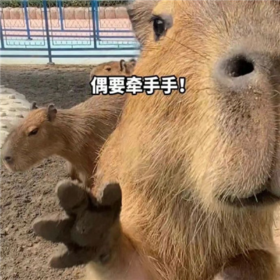 开心到飞起万能表情热门款 已你记录你的恶行