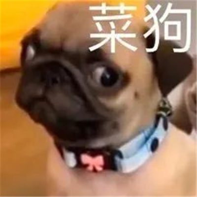 开心到飞起万能表情热门款 已你记录你的恶行