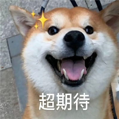 使人笑到破防表情包 能笑到倒地的表情