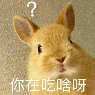 宝藏万能表情很火热 很搞怪的优质版表情