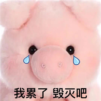 每张都不要错过的优质聊天表情 各具特点的好用表情