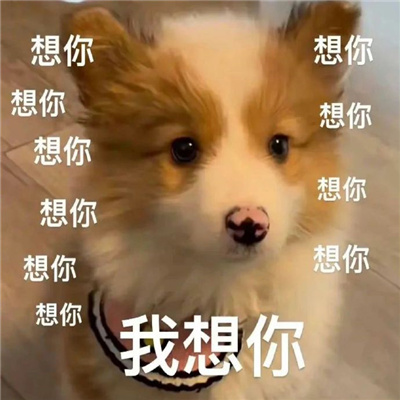 土嗨土嗨的表情大全 嗨皮好笑又好玩的表情