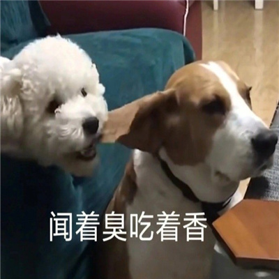 年度最常用的表情 今年最火的万能好用表情