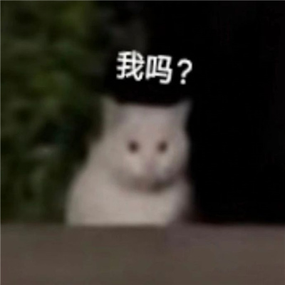 2023最新版热门的微信表情 这么多天不喝奶茶我不甜了