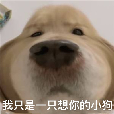 每张都是爆好笑的表情 修勾察觉到了异样