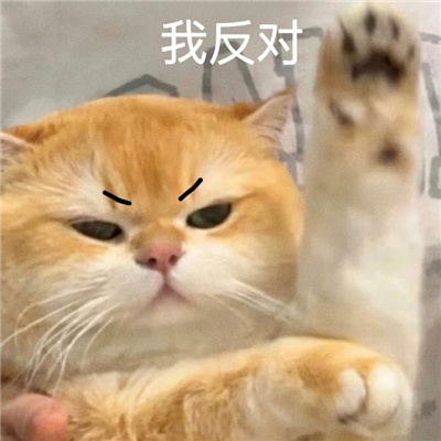 每张都是爆好笑的表情 修勾察觉到了异样