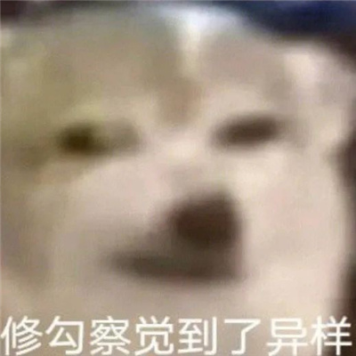 每张都是爆好笑的表情 修勾察觉到了异样