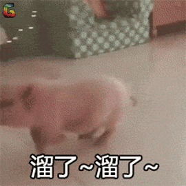 溜了溜了表情gif动态表情欢乐可爱 一定不能错过的gif充满快乐表情合集