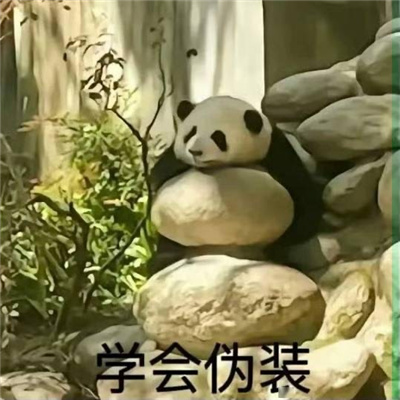 国宝大熊猫微信恶搞表情包 又去上你那个不挣钱的班啊