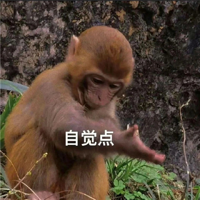 当代年轻人的爱用表情 竖起我八卦的小耳朵