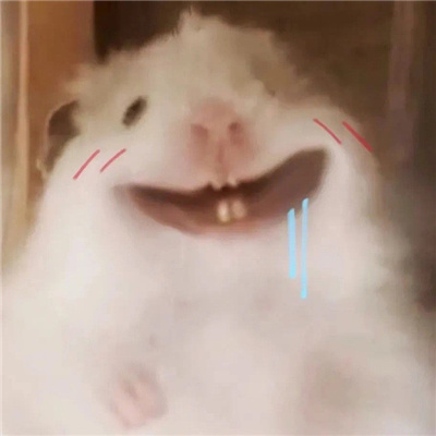 让自己爆笑心情变好的表情 我要变坏我要叛逆