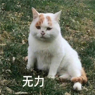 让自己爆笑心情变好的表情 我要变坏我要叛逆