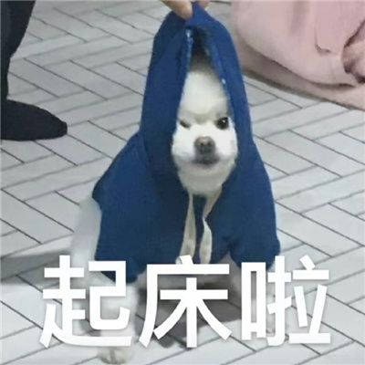 好笑循环表情热门 别老跟那女的发消息跟我也发几条