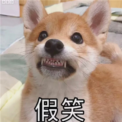 好笑循环表情热门 别老跟那女的发消息跟我也发几条