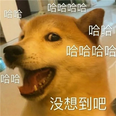 很另类的又很快乐的表情 搞怪版的幽默风趣表情