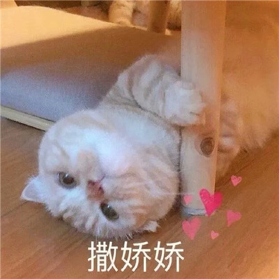 很另类的又很快乐的表情 搞怪版的幽默风趣表情