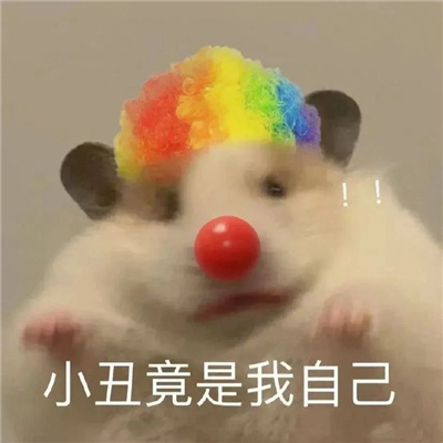 可爱到上头的沙雕表情 宝贝一叫随叫随到